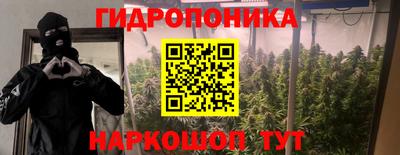 2c-b Обь