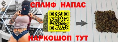 амф Новозыбков